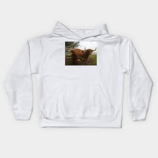 Scottish Highland Cattle Cow and Calf 1994 Kids Hoodie